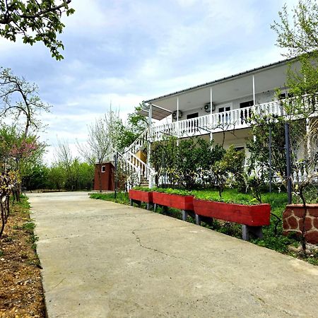 Hilltop Guest House Κουτάισι Εξωτερικό φωτογραφία